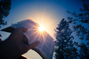 open Bible being held up to shining sunlight by pine trees 